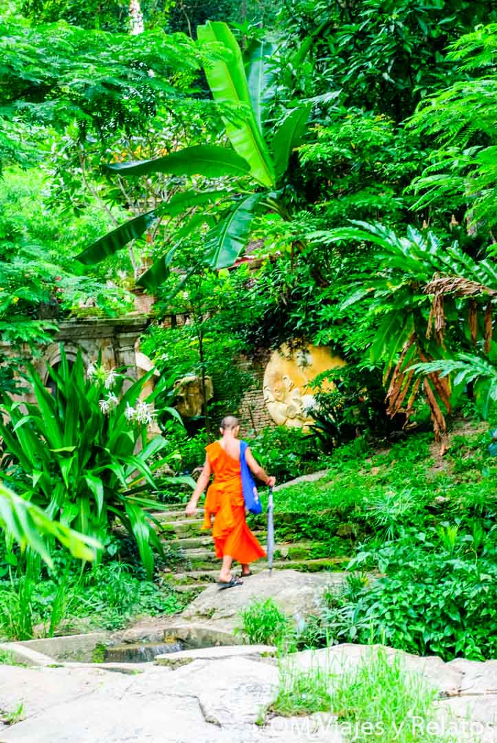 visitar-wat-pha-lat-el-sendero-de-los-monjes-monks-trail