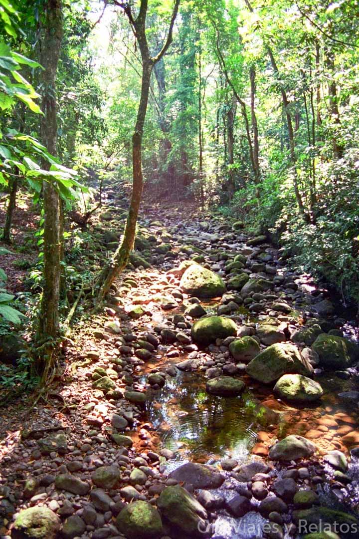Naturaleza-de-Costa-Rica-Tortuguero-por-libre