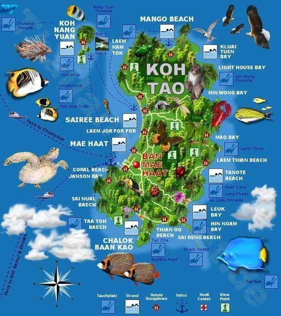 mejores-islas-de-Tailandia-Koh-Tao