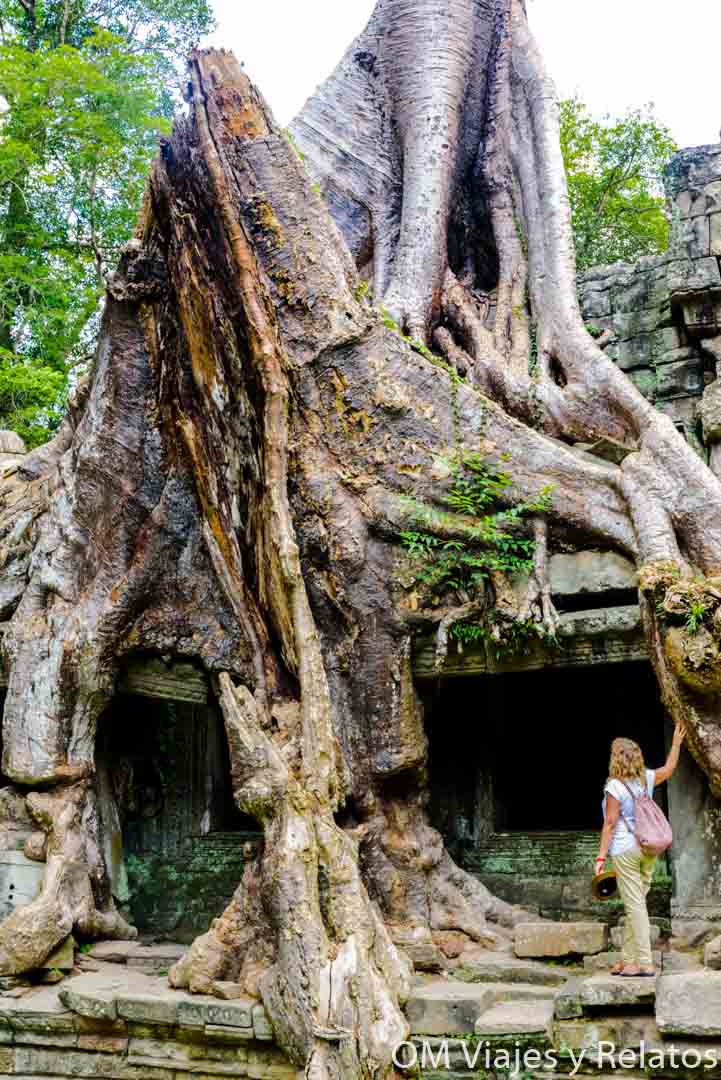 qué-templos-visitar-en-Angkor-Camboya