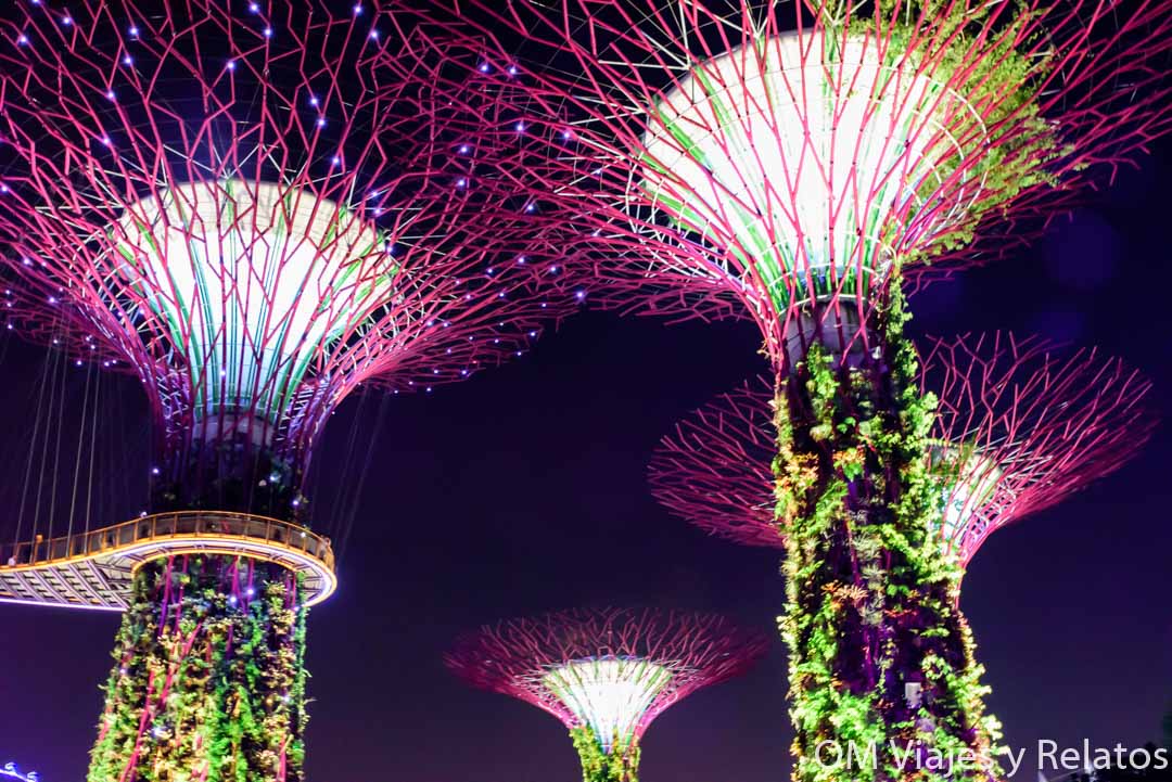 jardines-y-SÚPER-árboles-de-Singapur