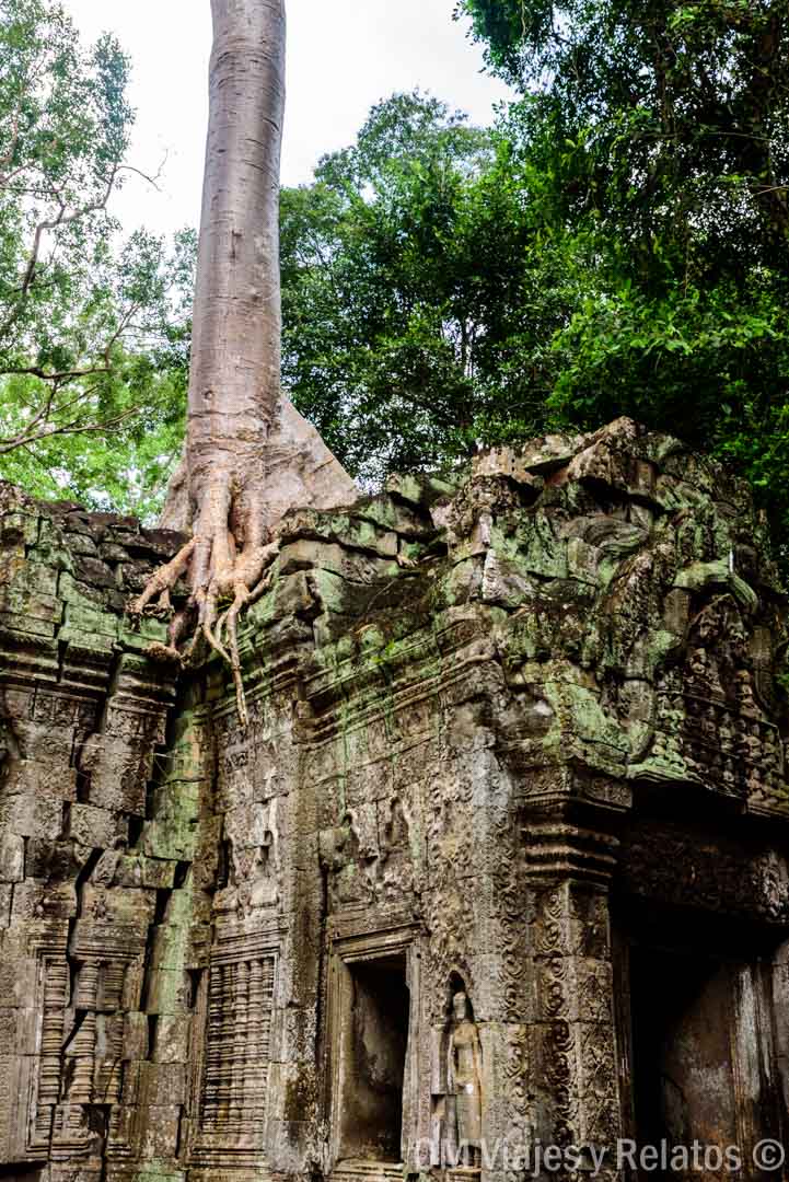 visitar-templo-Tomb-Raider-Angkor-wat-Camboya