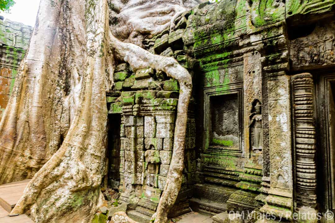 Ta Prohm-templo-Tomb-Raider-Camboya