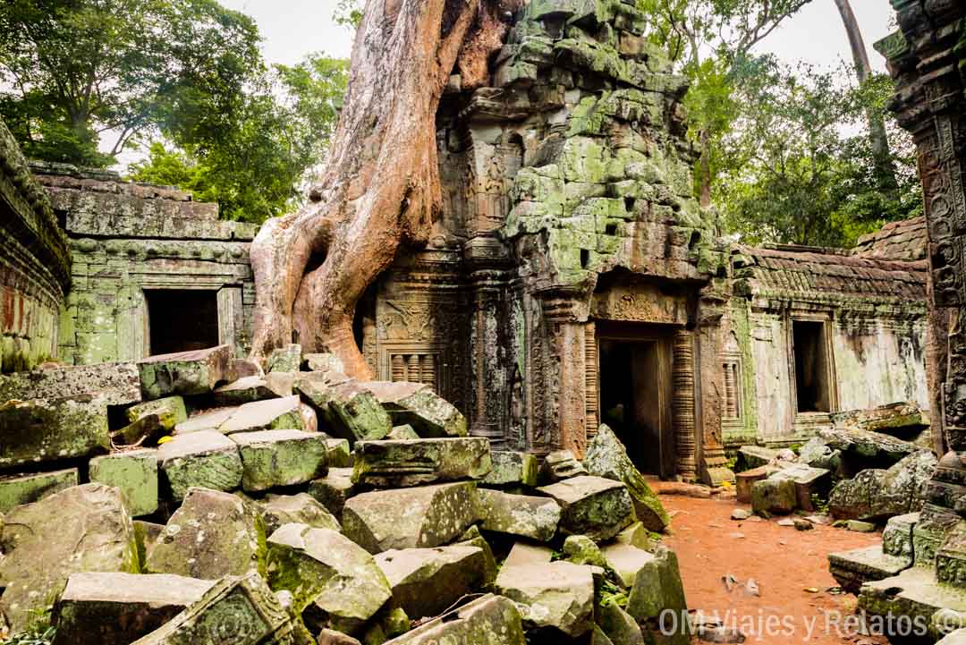 templo Tomb Raider Camboya