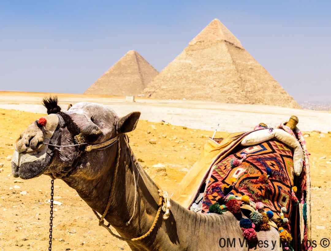 horarios-pirámides-Giza-recomendaciones
