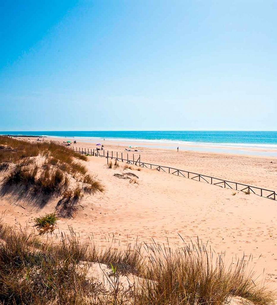 playas-bonitas-Cádiz-Playa-del-Palmar