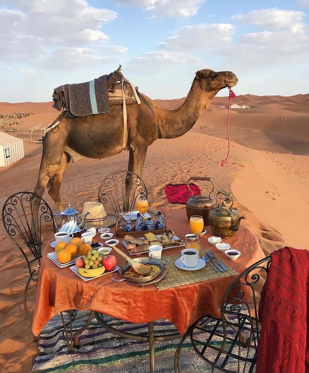 excursion-al-desierto-de-merzouga-marruecos