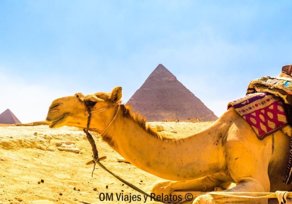 informacion-para-viajar-a-egipto