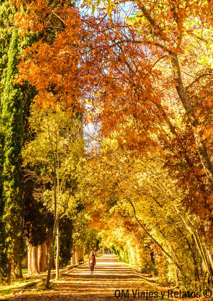 visitar-Jardín-del-Príncipe-Aranjuez-otoño